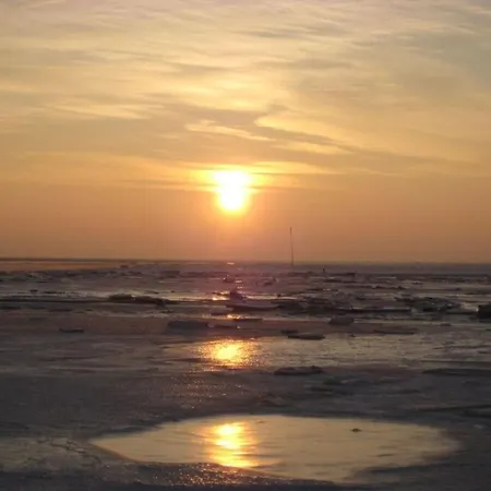 Ingrid Menzel Comfortable *